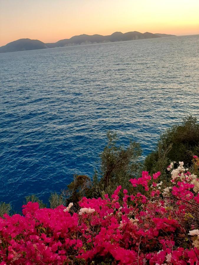 Cavos Inn Apartments Kefalonia Asos Exterior foto