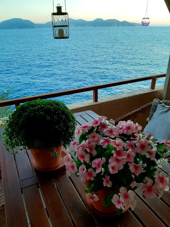 Cavos Inn Apartments Kefalonia Asos Exterior foto